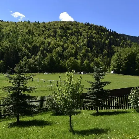 Rojka Apartment Zakopane